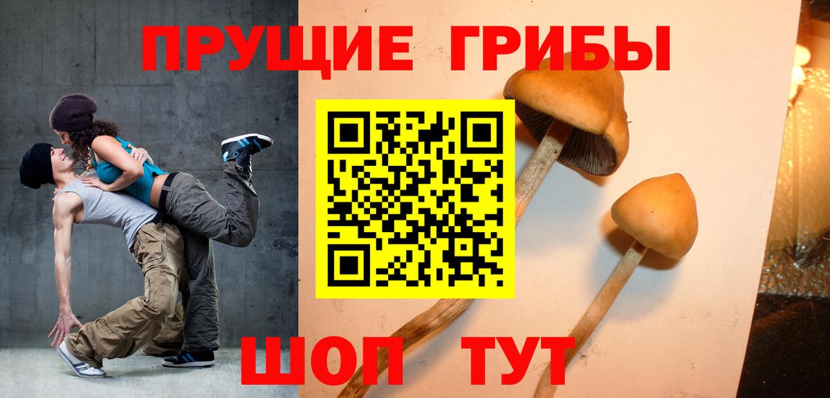 Галлюциногенные грибы GOLDEN TEACHER  Галлюциногенные грибы Psilocybe  Трёхгорный  Вход с VPN 